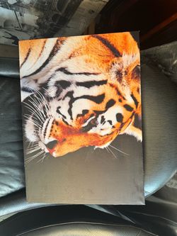 Tiger Close-Up Canvas Wall Art