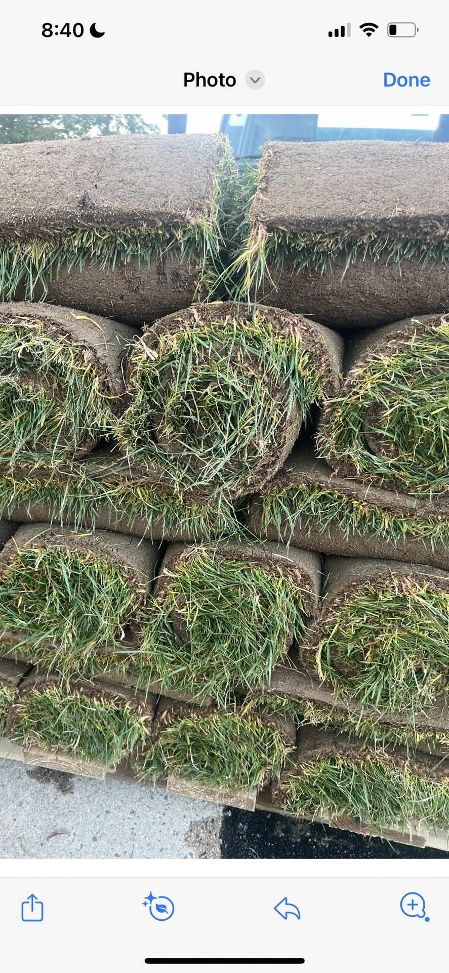 fresh sod