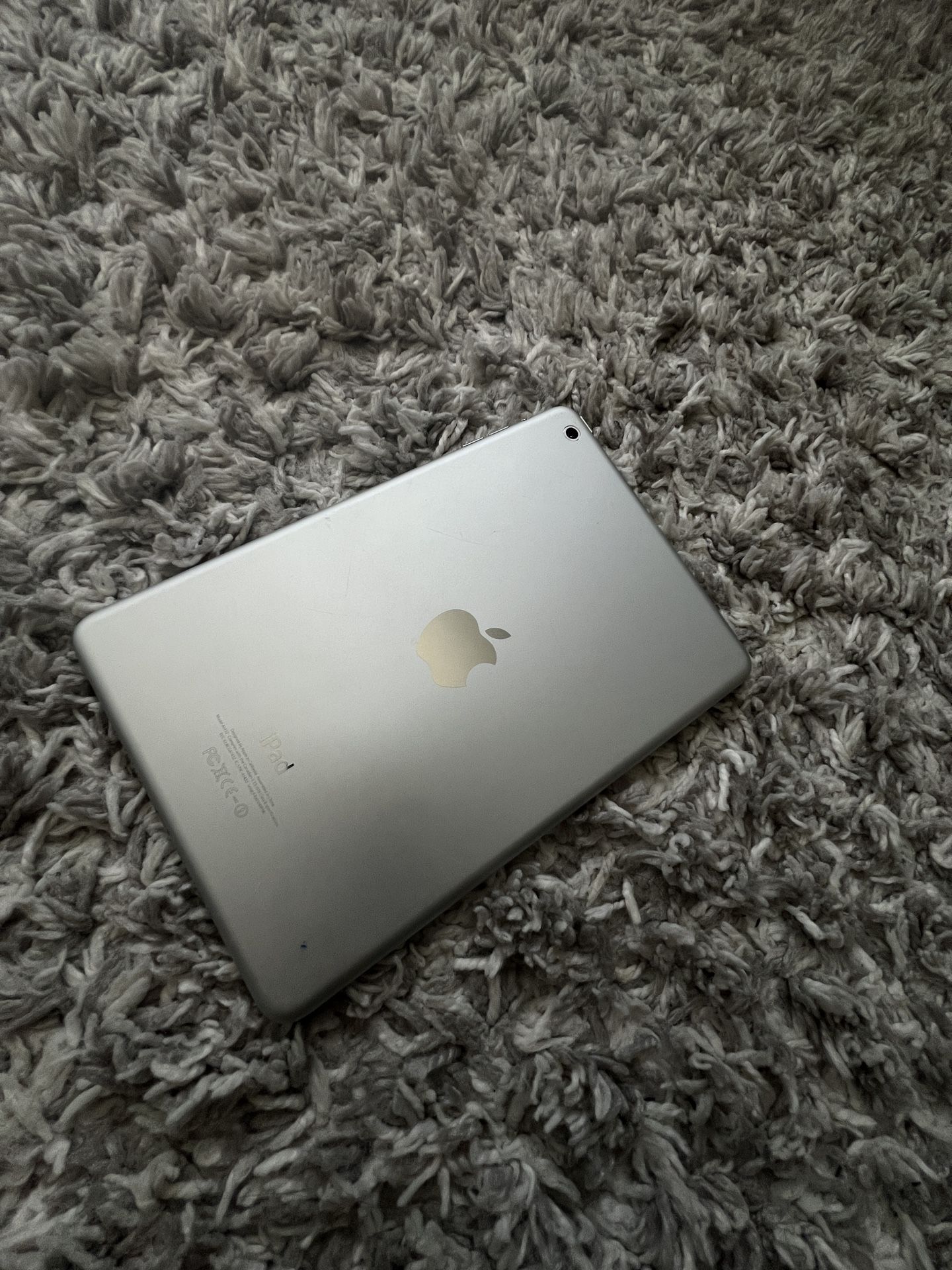 iPad