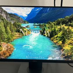 Dell P2418D 23.8" 16:9 IPS Monitor 2560 x 1440,Black