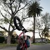 Sawyer Demarois