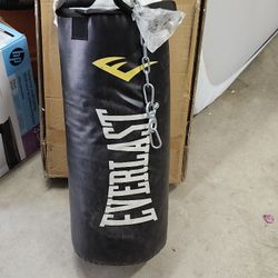 EVERLAST- HEAVY PUNCHING BAG