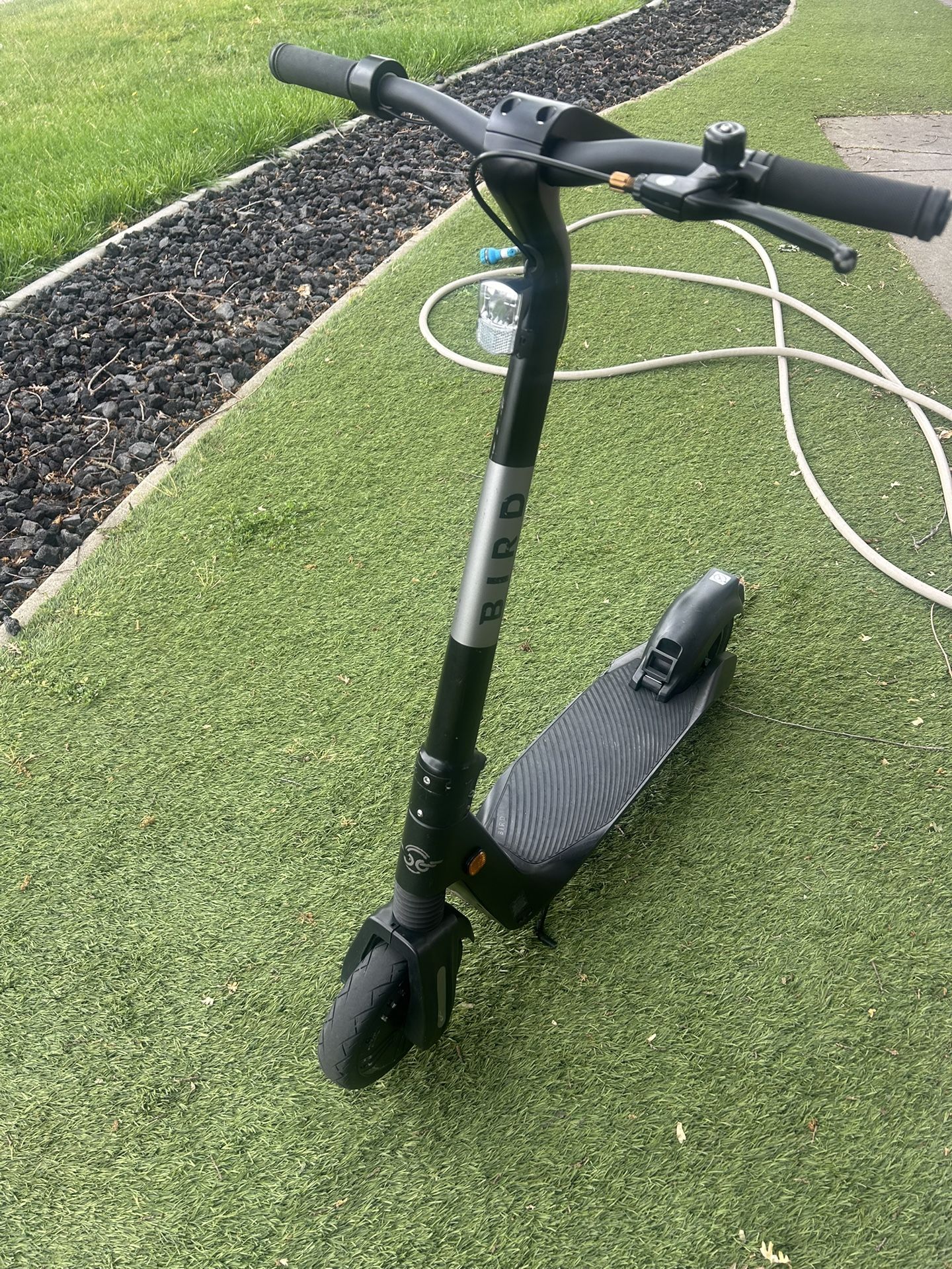 2024 Bird Flex