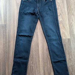 Paige Skyline Skinny Jeans, Size 27