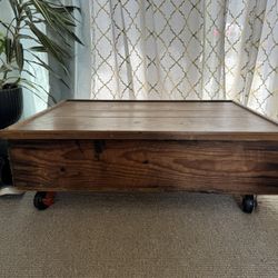 Coffee Table / Storage 