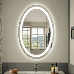 Oval LED Bathroom Mirror 20x 28