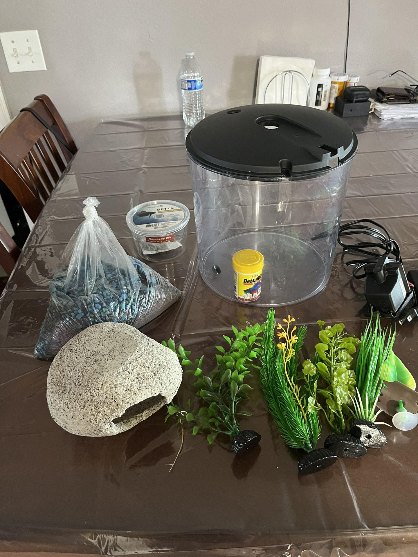 Fish aquarium