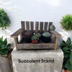 Succulent plant stand