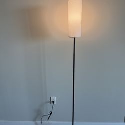 Modern LED Sleek Floor Lamp