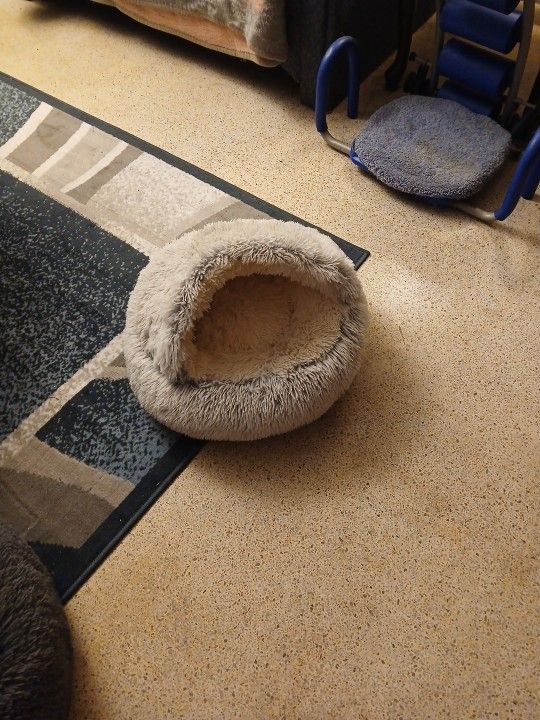 Cat Bed