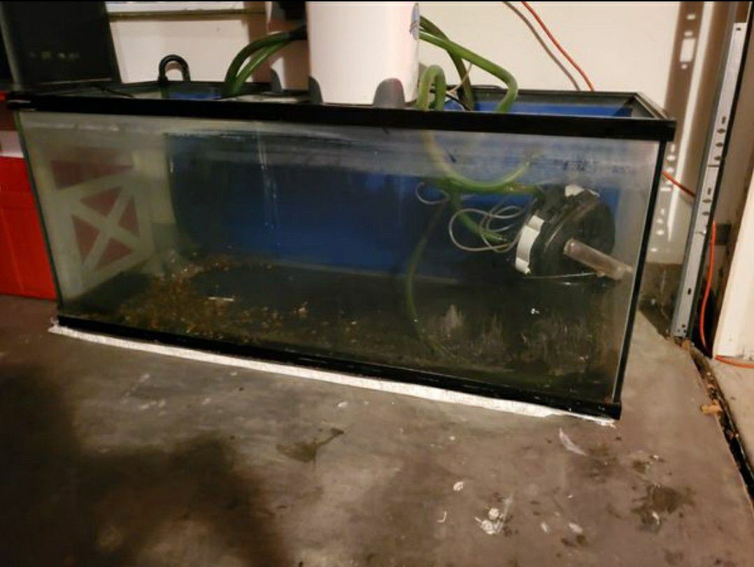 6 ft long fish tank free ( back glass broke )