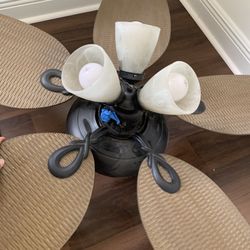 Ceiling Fan With 4 Lights