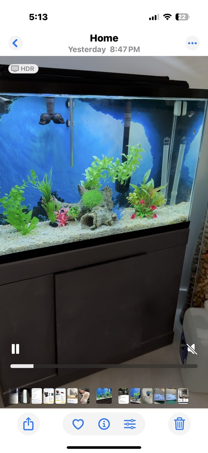 Fish Tank Aquarium for sale 55 gal