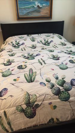 Queen cactus themed comforter , 2 pillow covers
