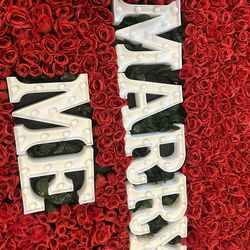 Proposal Hearth And Flowers