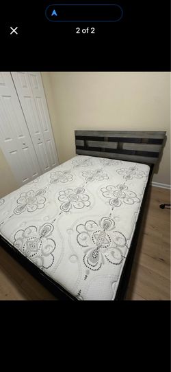 Queen Bedframe and Mattress
