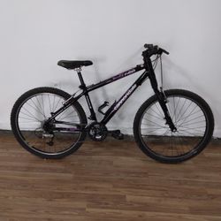 Nice Bike For Gerting Around Town