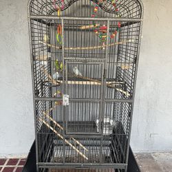 Bird 🦅 Cage Tall With 6 Items $150.