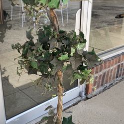 fake ivy topiary 