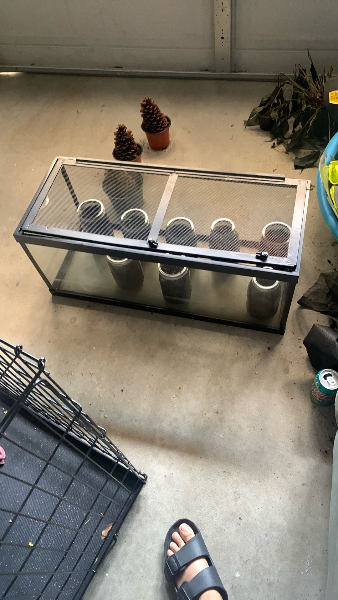 Aquarium