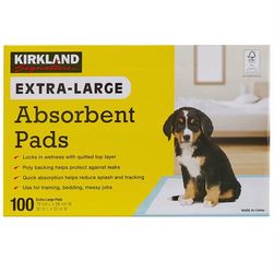 Absorbent Pads