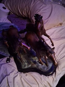 For bronze horses signed