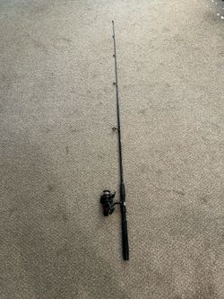 Rod and Reel