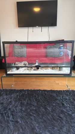NEW Reptile Enclosure Brand New