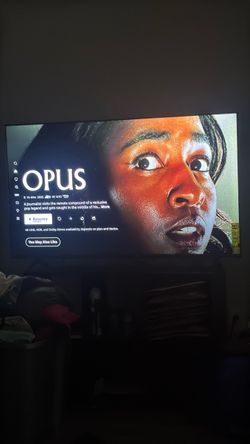 Flat Screen TV 55 inch