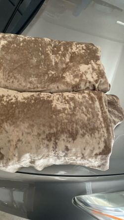 Curtain/ Cortina’s Velvet Pair 