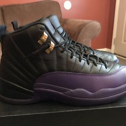 Retro Jordan 12s “Field Purple” Size 12