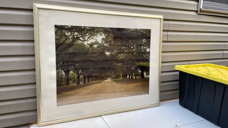 Vintage Large Lithography Signed  And Numbered. 6 Th From 100