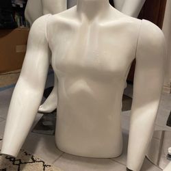 Male Mannequin Torso
