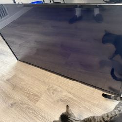 Tv (easy Fix)