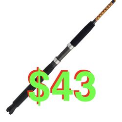 Ugly Stik Bigwater Casting Fishing Rod 9FT