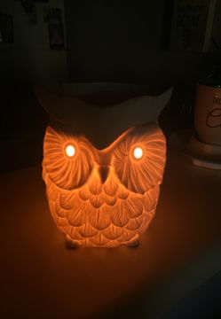 Owl wax tart burner