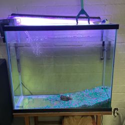 80 Gal Fish Tank
