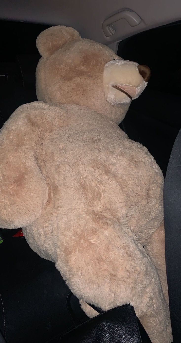 costco bear