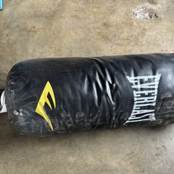 Everlast 40 Lb Hanging Bag