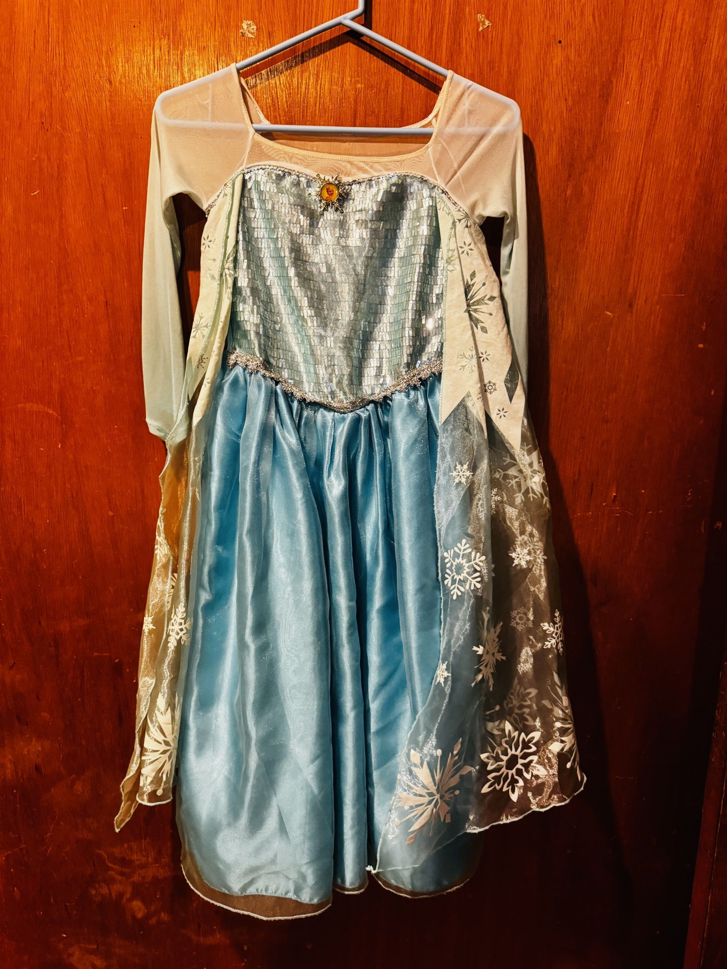 2 Dresses: Disney Frozen Elsa Costume Dress & Blue Dress
