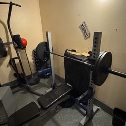 Fitness Gear Pro Olympic Weight Bench($250), for both bench and pull up/ab equipment($300)