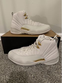 Air Jordan 12 Retro Phantom Women’s Size 12 / Men’s Size 10.5 (SKU: FD9101-007)