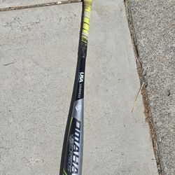 2020 Louisville Slugger Omaha Bat 28 in