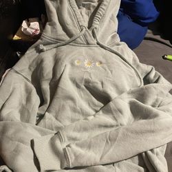 Hollister Cropped Hoodie