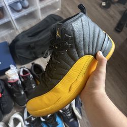 Jordan 12 