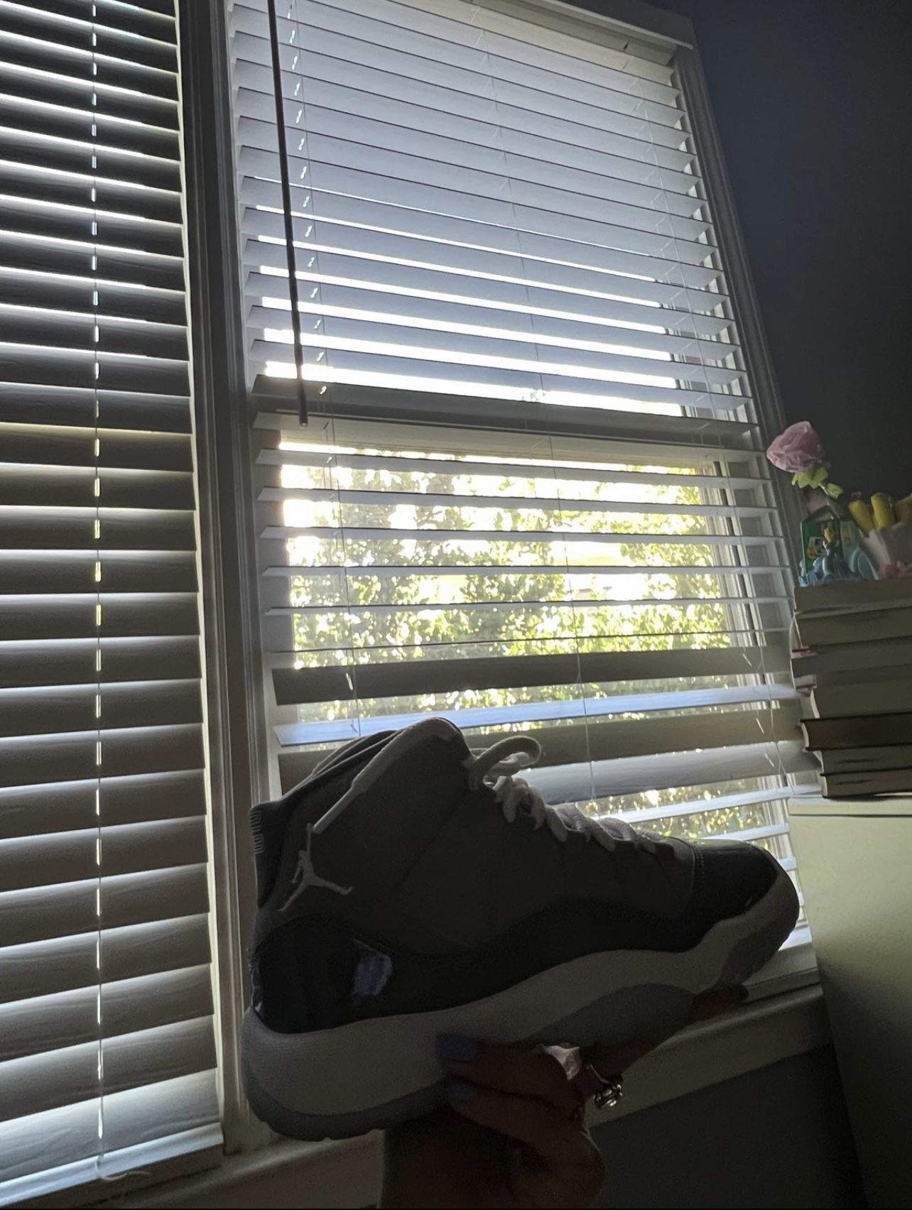Air Jordan 11 cool grey