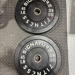 45lb Bumper Plates Pair