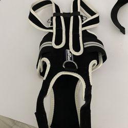 Dog Harness
