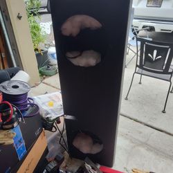 12" Tacoma Subwoofer Box