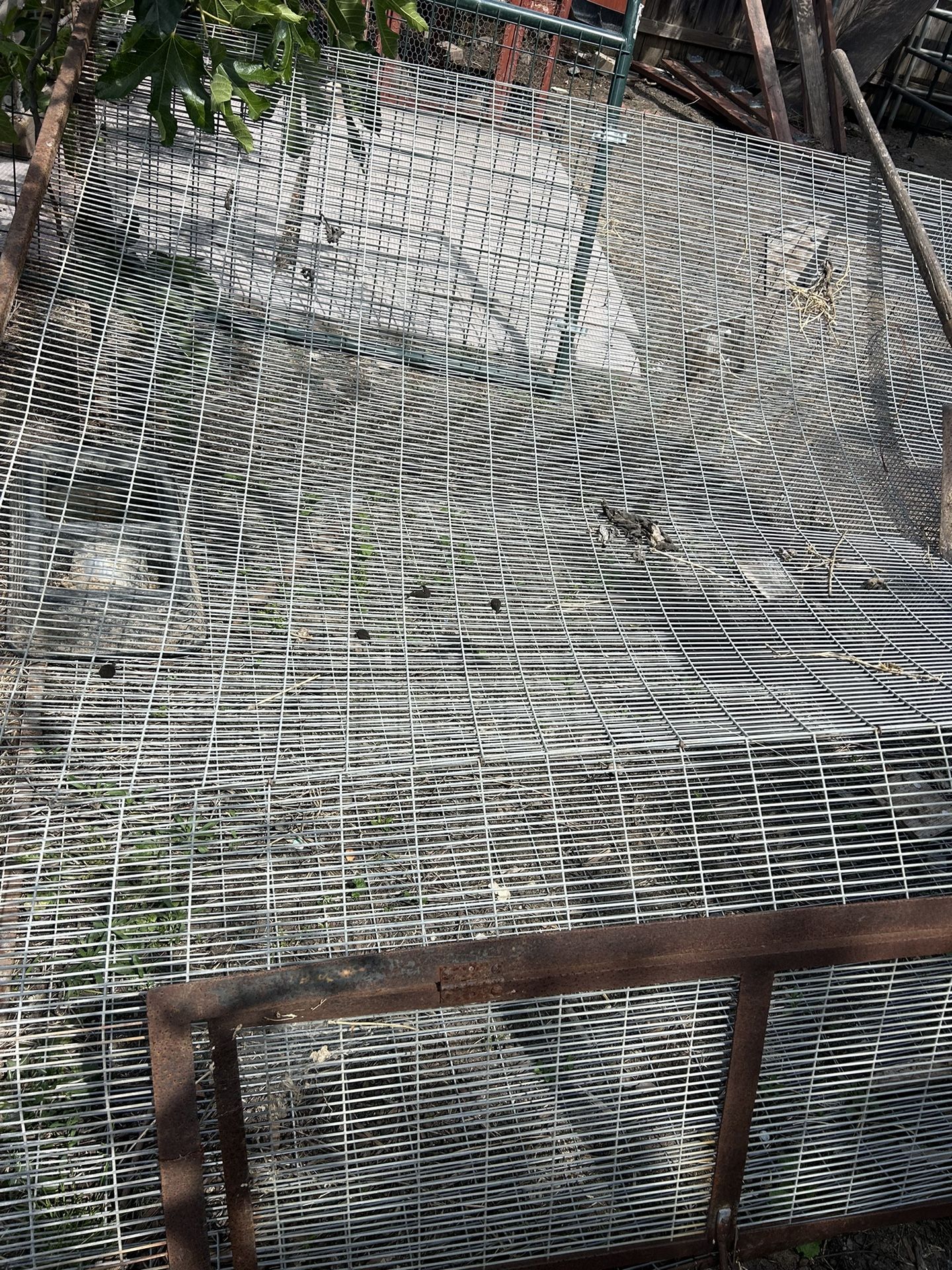 Walk In Cage $25